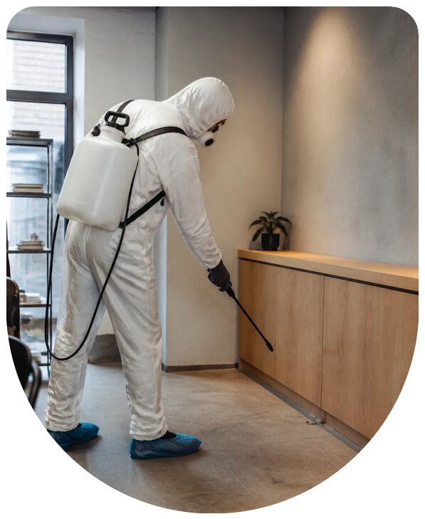 Санитарная обработка помещений от вредителей и запахов в Балашове